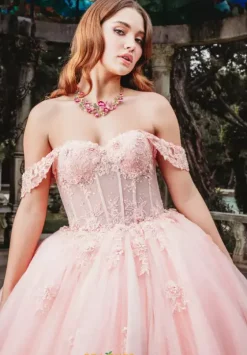 Plus Sized Quince Dresses|Sweet Sixteen^Amabella Q1012