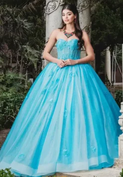 Plus Sized Quince Dresses|Sweet Sixteen^Amabella Q1012