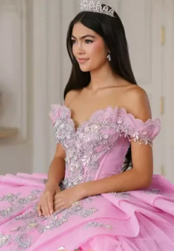 Plus Sized Quince Dresses|Sweet Sixteen^Amabella Q1088