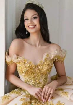 Plus Sized Quince Dresses|Sweet Sixteen^Amabella Q1088