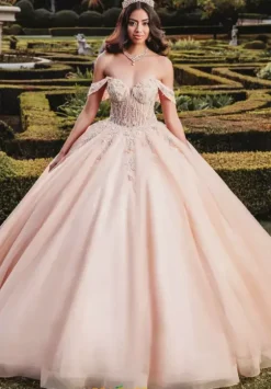 Sweet Sixteen|Plus Sized Quince Dresses^Amabella Q1003 Champagne