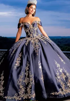 Sweet Sixteen|Plus Sized Quince Dresses^Amabella Q1025