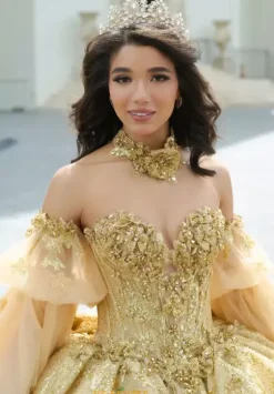 Sweet Sixteen|Quince Dresses With Sleeves^Amabella Q1051