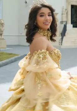 Sweet Sixteen|Quince Dresses With Sleeves^Amabella Q1051