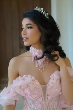 Plus Sized Quince Dresses|Sweet Sixteen^Amabella Q1065