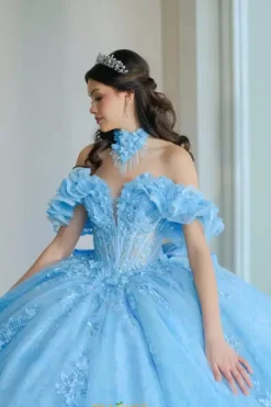 Plus Sized Quince Dresses|Sweet Sixteen^Amabella Q1065