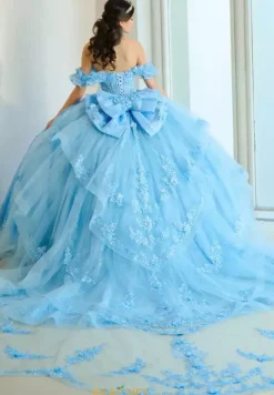 Plus Sized Quince Dresses|Sweet Sixteen^Amabella Q1065