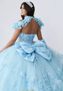 Plus Sized Quince Dresses|Sweet Sixteen^Amabella Q1065