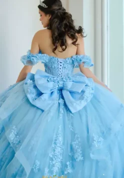 Plus Sized Quince Dresses|Sweet Sixteen^Amabella Q1065