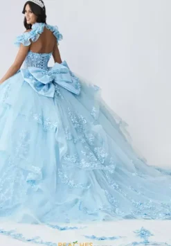 Plus Sized Quince Dresses|Sweet Sixteen^Amabella Q1065