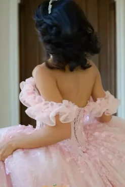 Plus Sized Quince Dresses|Sweet Sixteen^Amabella Q1065