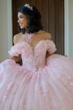 Plus Sized Quince Dresses|Sweet Sixteen^Amabella Q1065