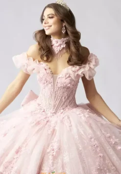 Plus Sized Quince Dresses|Sweet Sixteen^Amabella Q1065