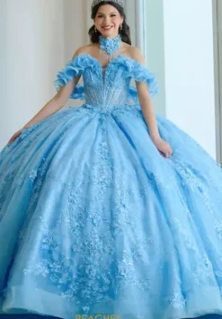 Plus Sized Quince Dresses|Sweet Sixteen^Amabella Q1065