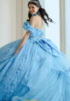 Plus Sized Quince Dresses|Sweet Sixteen^Amabella Q1065