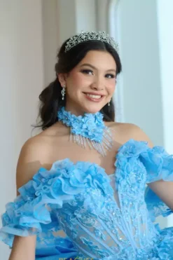 Plus Sized Quince Dresses|Sweet Sixteen^Amabella Q1065