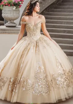 Sweet Sixteen|Plus Sized Quince Dresses^Amabella Q1000