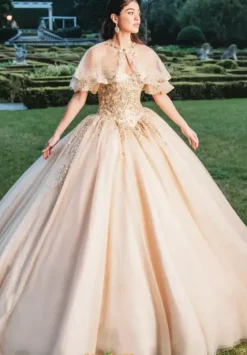 Sweet Sixteen|Plus Sized Quince Dresses^Amabella Q1015