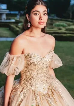 Sweet Sixteen|Plus Sized Quince Dresses^Amabella Q1015