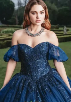 Sweet Sixteen|Plus Sized Quince Dresses^Amabella Q1015