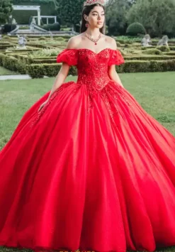 Sweet Sixteen|Plus Sized Quince Dresses^Amabella Q1015