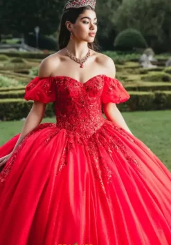 Sweet Sixteen|Plus Sized Quince Dresses^Amabella Q1015