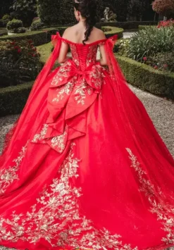 Plus Sized Quince Dresses|Sweet Sixteen^Amabella Q1005