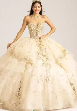 Sweet Sixteen|Plus Sized Quince Dresses^Amabella Q1096