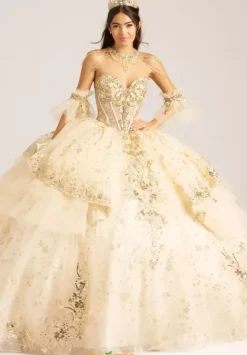 Sweet Sixteen|Plus Sized Quince Dresses^Amabella Q1096