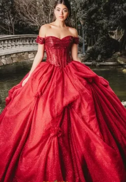 Sweet Sixteen|Plus Sized Quince Dresses^Amabella Q1009