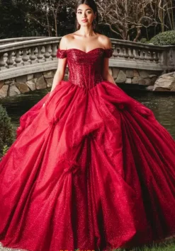 Sweet Sixteen|Plus Sized Quince Dresses^Amabella Q1009