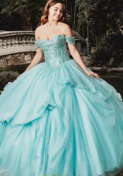 Sweet Sixteen|Plus Sized Quince Dresses^Amabella Q1009