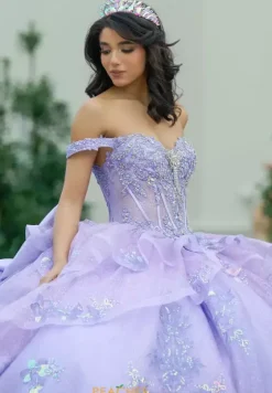 Plus Sized Quince Dresses|Sweet Sixteen^Amabella Q1055
