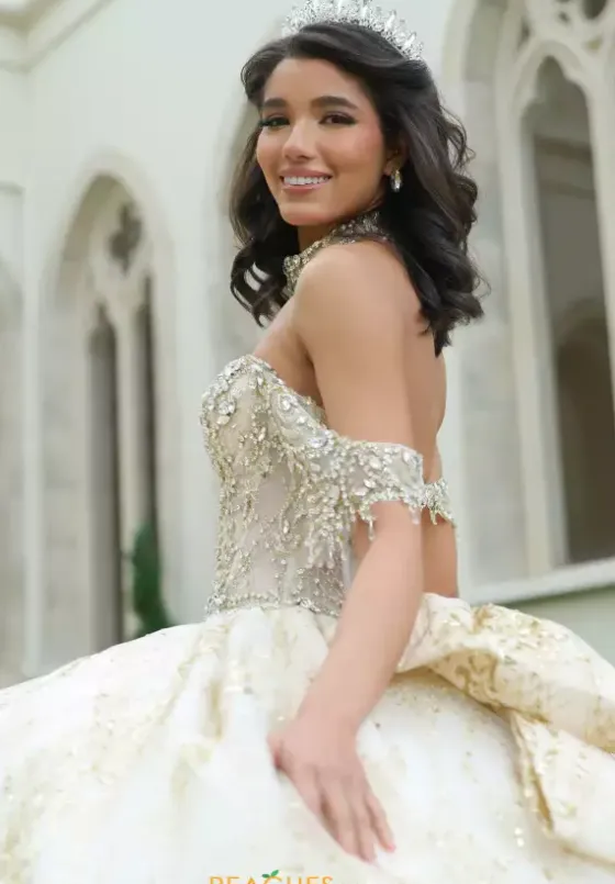 Sweet Sixteen|Plus Sized Quince Dresses^Amabella Q1052