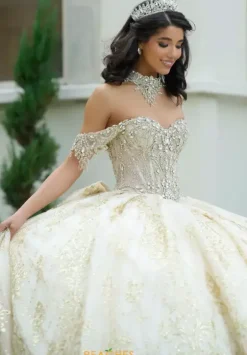 Sweet Sixteen|Plus Sized Quince Dresses^Amabella Q1052