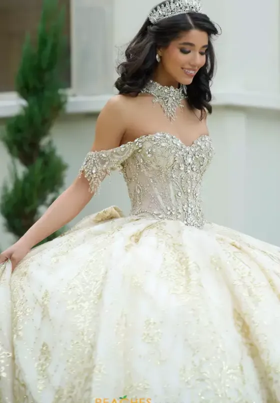 Sweet Sixteen|Plus Sized Quince Dresses^Amabella Q1052