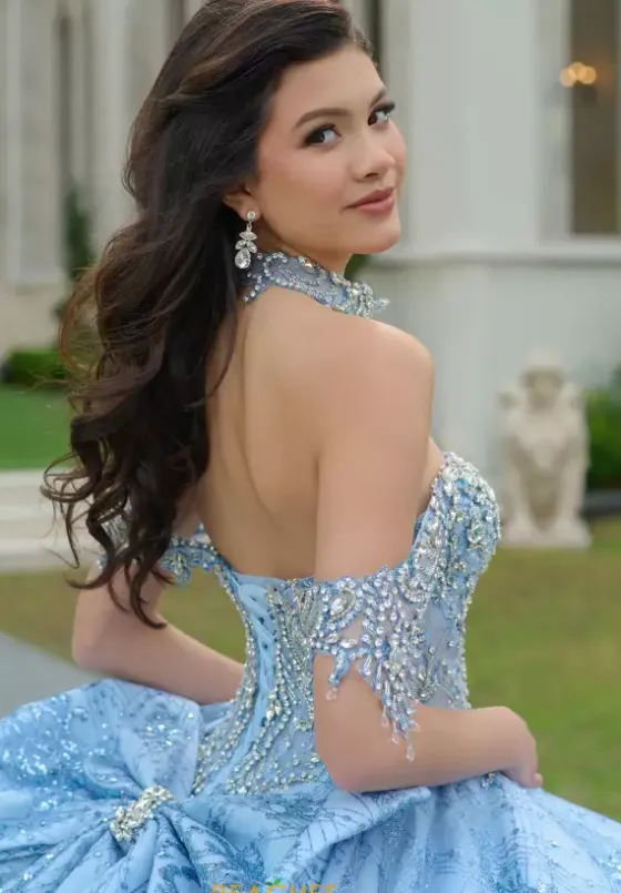 Sweet Sixteen|Plus Sized Quince Dresses^Amabella Q1052