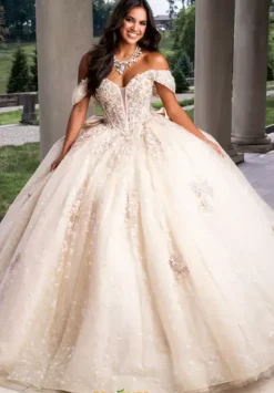 Sweet Sixteen|Plus Sized Quince Dresses^Amabella Q1029