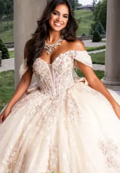 Sweet Sixteen|Plus Sized Quince Dresses^Amabella Q1029