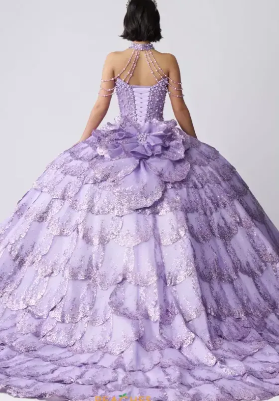 Plus Sized Quince Dresses|Sweet Sixteen^Amabella Q1061