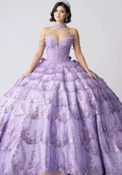 Plus Sized Quince Dresses|Sweet Sixteen^Amabella Q1061