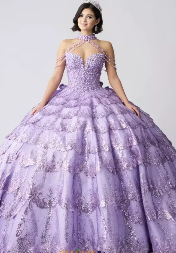 Plus Sized Quince Dresses|Sweet Sixteen^Amabella Q1061
