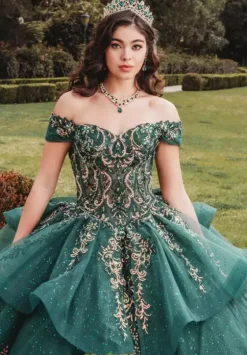 Plus Sized Quince Dresses|Sweet Sixteen^Amabella Q1006