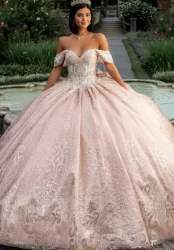 Sweet Sixteen|Plus Sized Quince Dresses^Amabella Q1037
