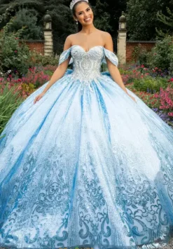 Sweet Sixteen|Plus Sized Quince Dresses^Amabella Q1037
