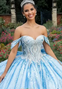 Sweet Sixteen|Plus Sized Quince Dresses^Amabella Q1037