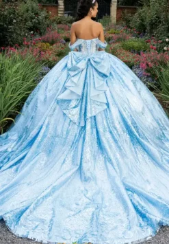 Sweet Sixteen|Plus Sized Quince Dresses^Amabella Q1037