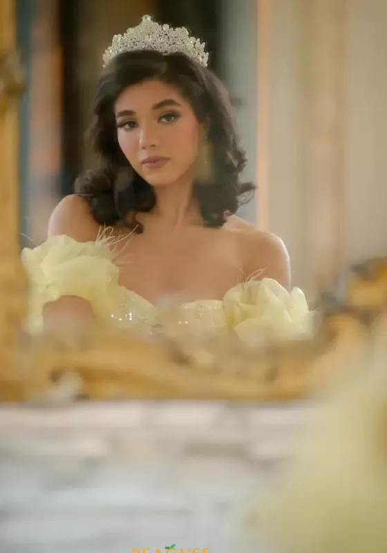 Sweet Sixteen|Plus Sized Quince Dresses^Amabella Q1064