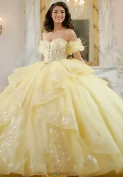 Sweet Sixteen|Plus Sized Quince Dresses^Amabella Q1064