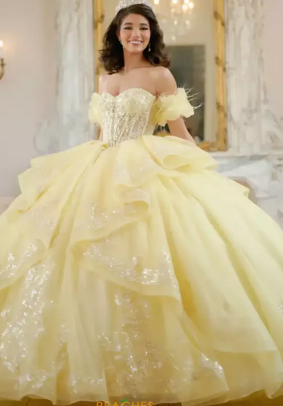 Sweet Sixteen|Plus Sized Quince Dresses^Amabella Q1064